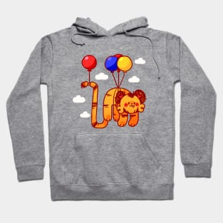 Balloon boy Hoodie